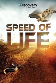 Speed of Life (2010)