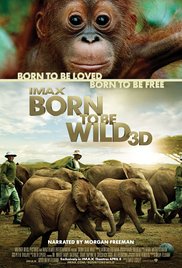 Born to Be Wild (2011)