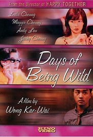 Days of Being Wild (1990)