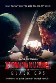 Zombie Ninjas vs Black Ops (2015)